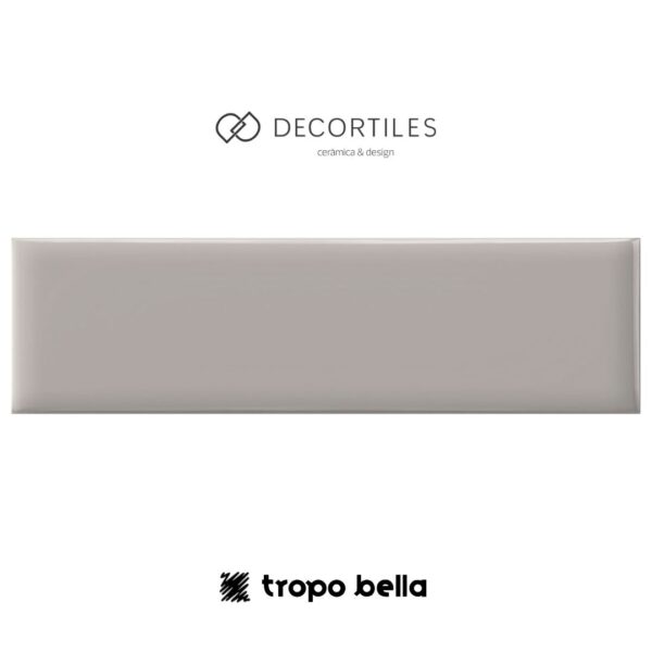 REVESTIMENTO COLOR MIND INOX BR 7X25 DECORTILES