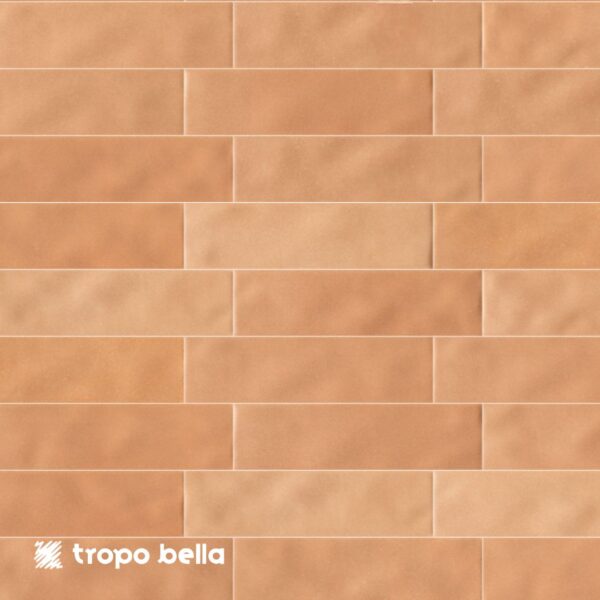 REVESTIMENTO PRISMA COTTO MT 7X25 ELIANE