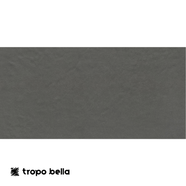 PORCELANATO FGMF SILICA CARBON MA 60X120 ELIANE