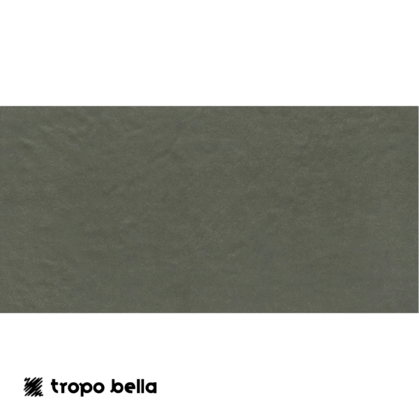 PORCELANATO FGMF SILICA AGAVE MA 60X120R ELIANE