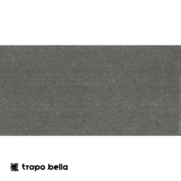 PORCELANATO FGMF RISCA CARBON EXT 60X120 ELIANE
