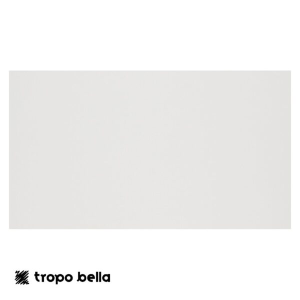 REVESTIMENTO FORMA BRANCO AC 32X60 RETIFICADO ELIANE